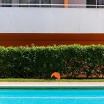 Appartement #199 Flamingo Pool & Views *