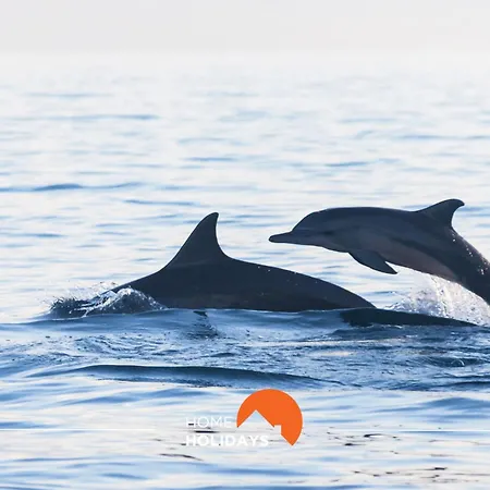 #199 Flamingo 1108 By Holidays Apartmán